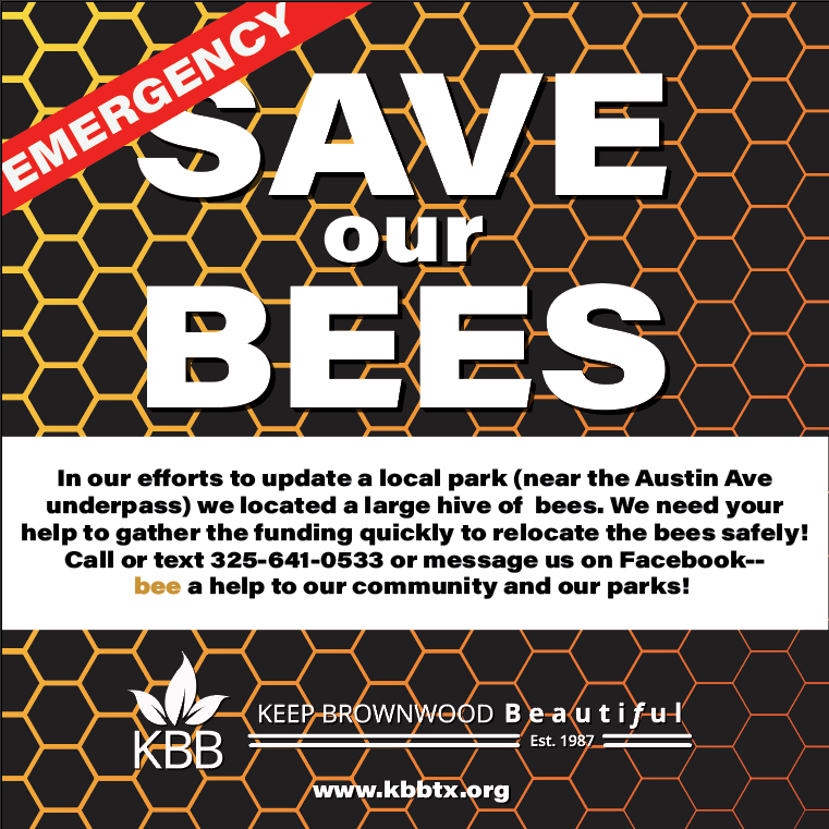Keep Brownwood Beautiful to relocate beehive on Aug. 27 - Vimarsana News