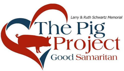 pig-project