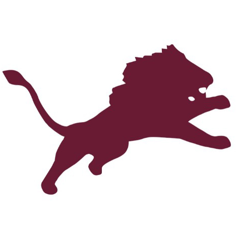 Brownwood Lions football season ticket sales begin July 24