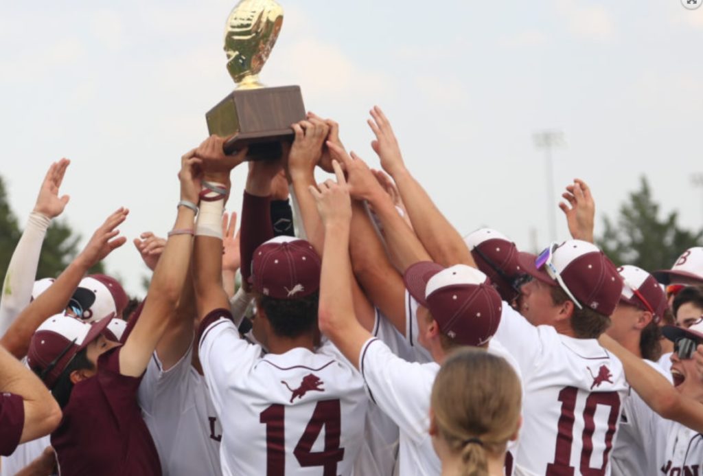 Brownwood Lions Baseball playoff shirt orders are currently being taken.  Brownwood