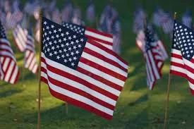 american-flags-in-cemetery