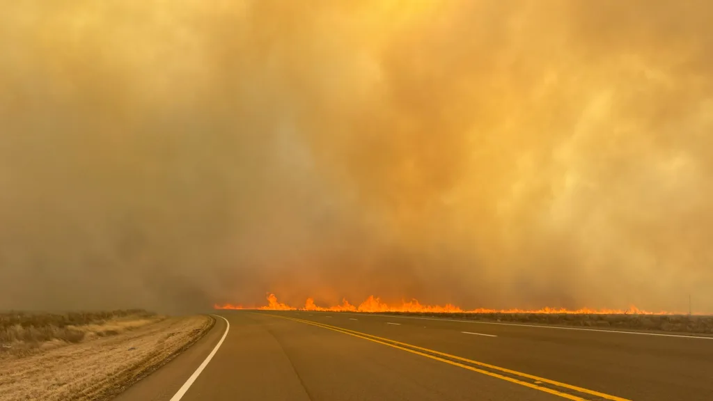 Panhandle wildfire now largest in state's history - Vimarsana News
