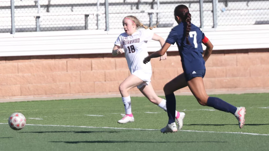 Lady Lions' Season Ends In Bi-District Round Against Waxahachie Life, 3-1 - Vimarsana News