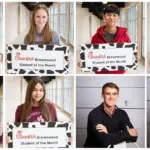 bhs_som_dec_collage_wd