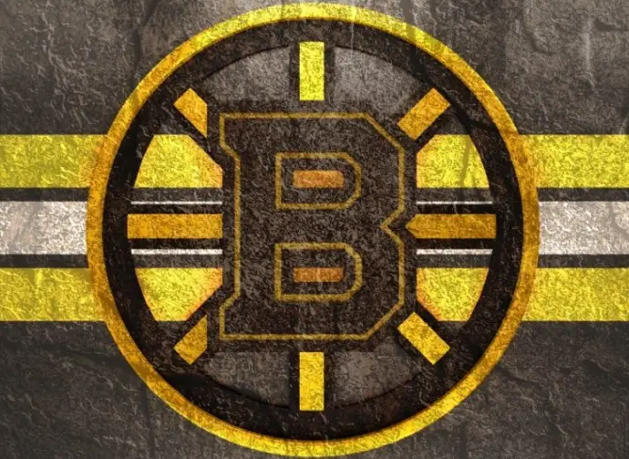 Emblem of the Boston Bruins. The Boston Bruins are a professional ice hockey team. Logo for presentation or infographics.