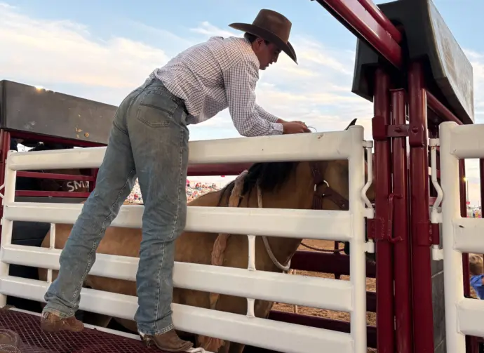 bronc-rider-gets-ready