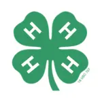images-2-4