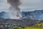 Pacific Palisades^ California - May 16^ 2021: Palisades fire burning through Topanga Canyon.