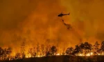 Fire fighting helicopter carry water bucket to extinguish the forest fire.