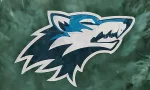 minnesota timberwolves nba finals champions 2024 - TEAM LOGO