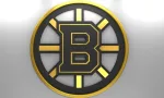 Emblem of the Boston Bruins. The Boston Bruins are a professional ice hockey team. Logo for presentation or infographics. 3D render. 3D Illustration