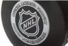Official game puck from NHL^ National hockey league^ USA