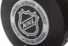 Official game puck from NHL^ National hockey league^ USA.