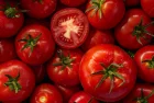 Fresh tomatoes - Top view