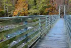 Horizontal perspective shot of suspension walking bridge over stream at Devil's Den State Park in Arkansas.