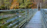 Horizontal perspective shot of suspension walking bridge over stream at Devil's Den State Park in Arkansas.