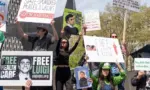 Activists gathered in front of Federal Court where Luigi Mangione was arraigned on Federal Charges accusing him of killing United HealthCare CEO Brian Thompson New York - April 25^ 2025