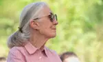 Jane Goodall speaks in Sashegy^ Budapest Budapest^ Hungary - August 09^ 2019
