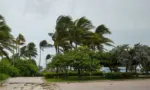 City of Miami Beach^ hurricane Irma. Florida. USA.
