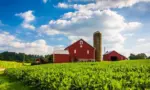 Beautiful farm field and barn on a farm near Spring Grove^ Pennsylvania.
