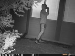 peeping-tom