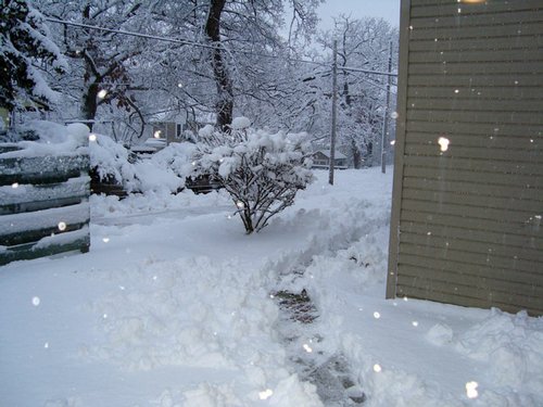 snow-fall