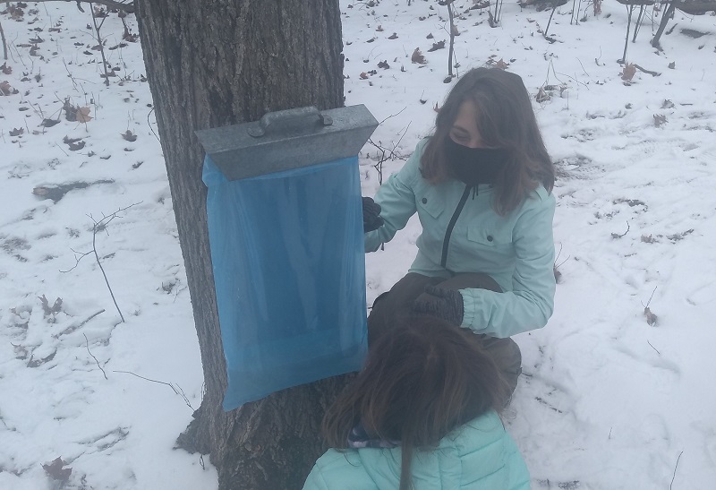 maple-syrup-hike
