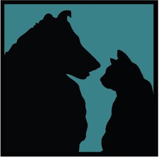friends-of-noah-2
