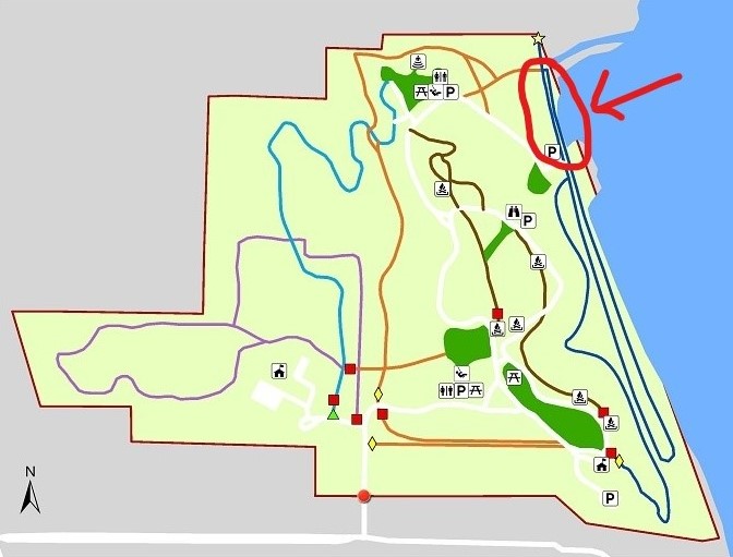 big-hill-park-work