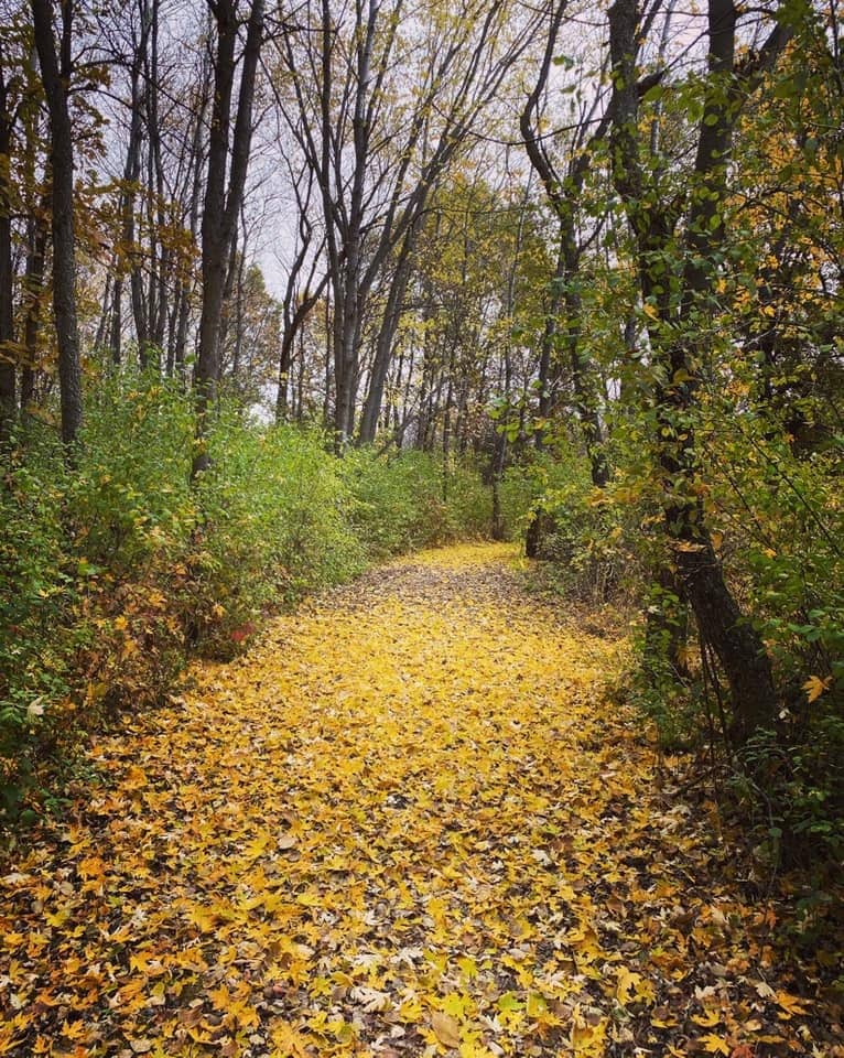 autumn-trail