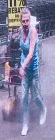 menards-retail-theft