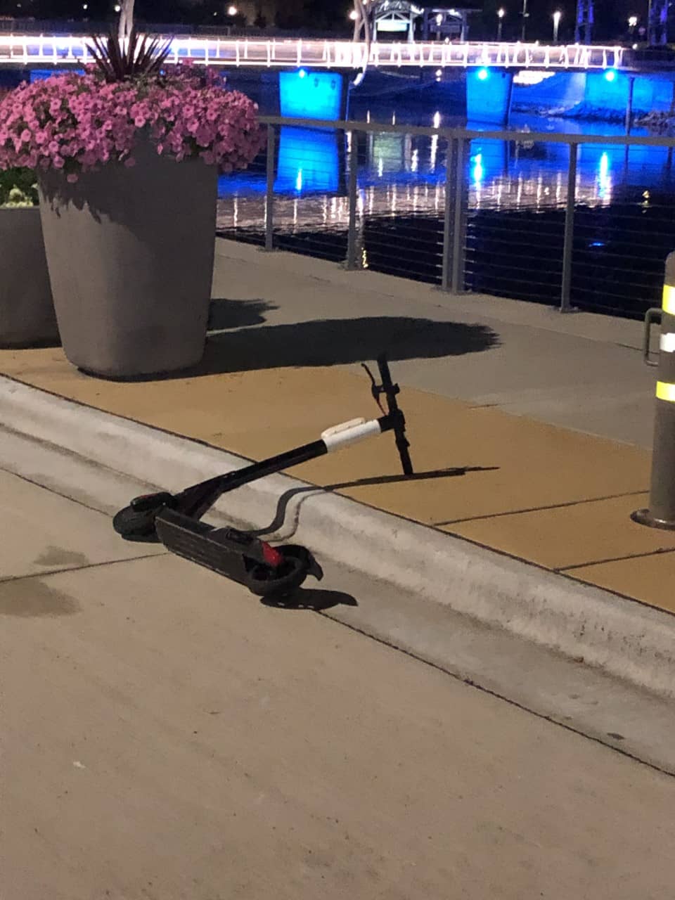 badbirdscooter