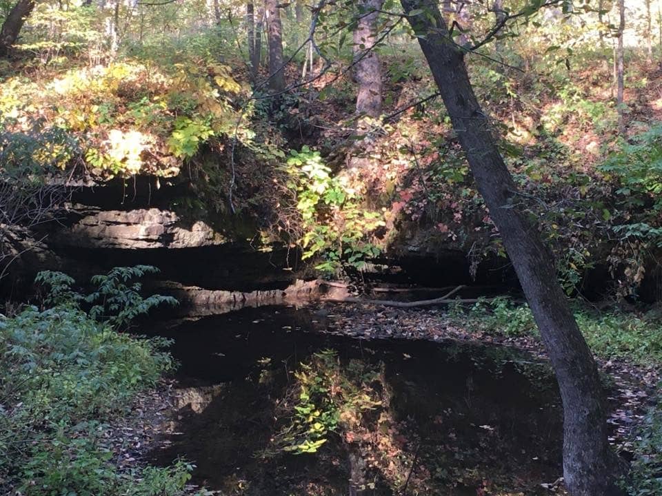 carver-roehl-park-2
