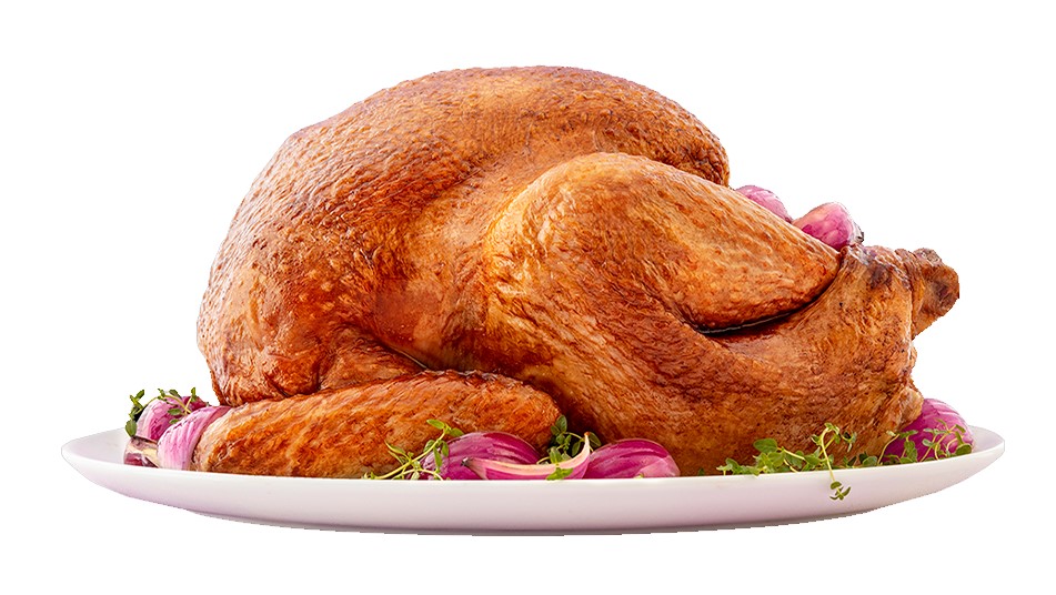 turkey-2