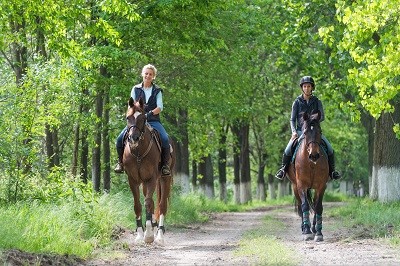 equestrian-trails