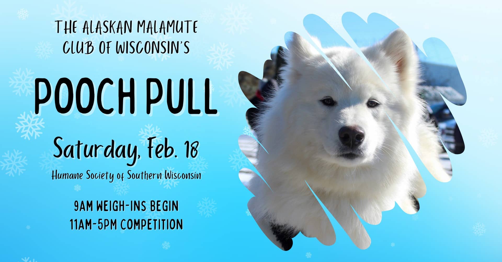 pooch-pull-2023