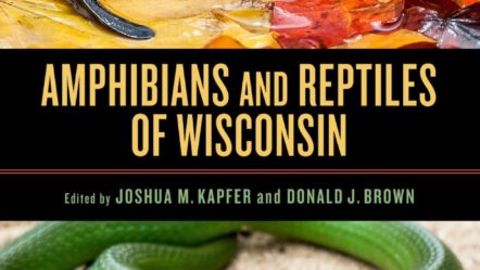 amphibians-and-reptiles-of-wisconsin143692