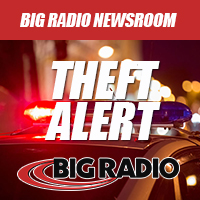 theft328487