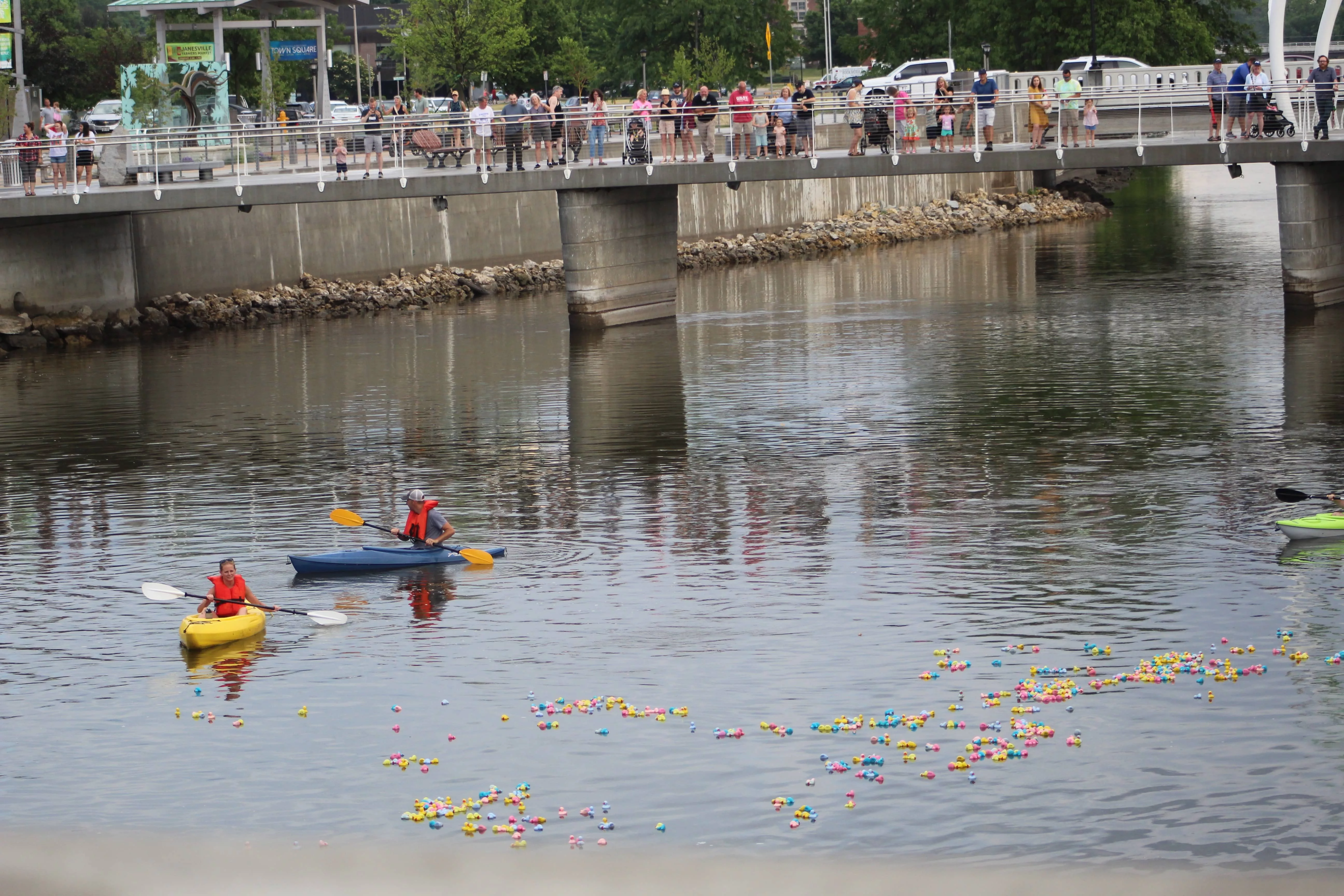 dowtown-duck-dump481254