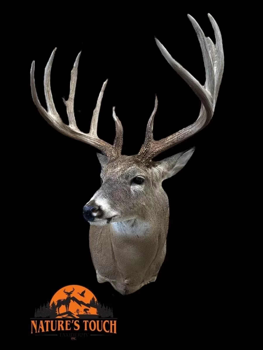dump-buck110292