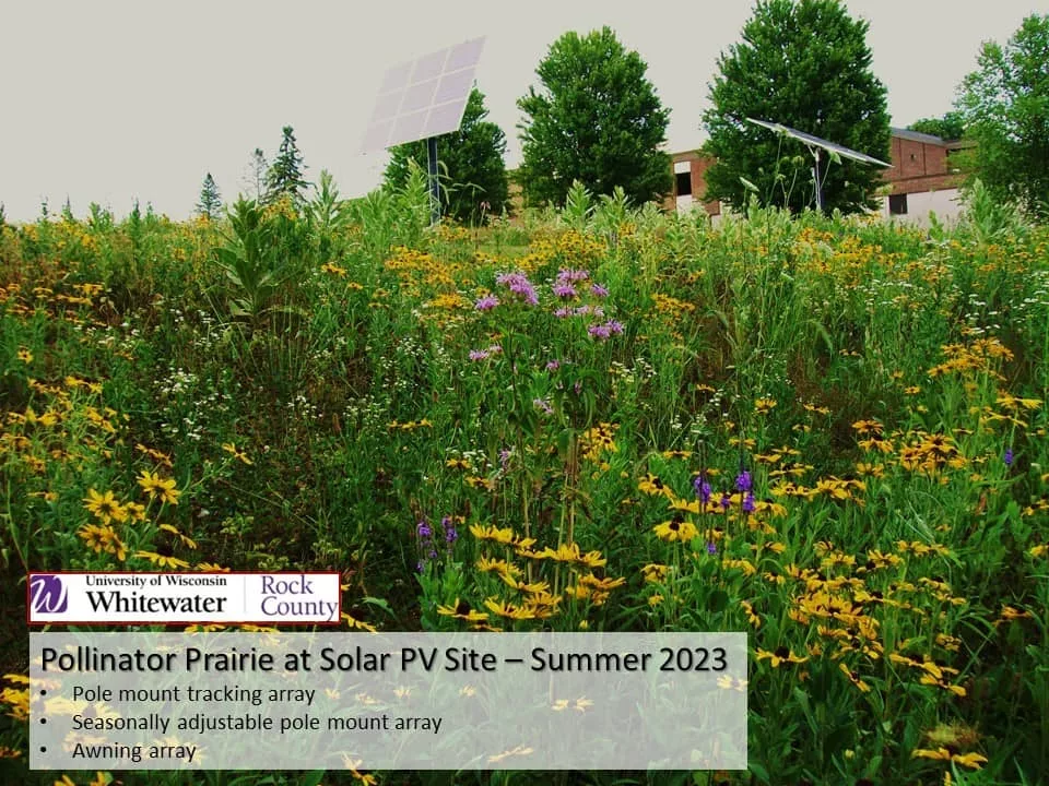 solar-polinator-prairie49672