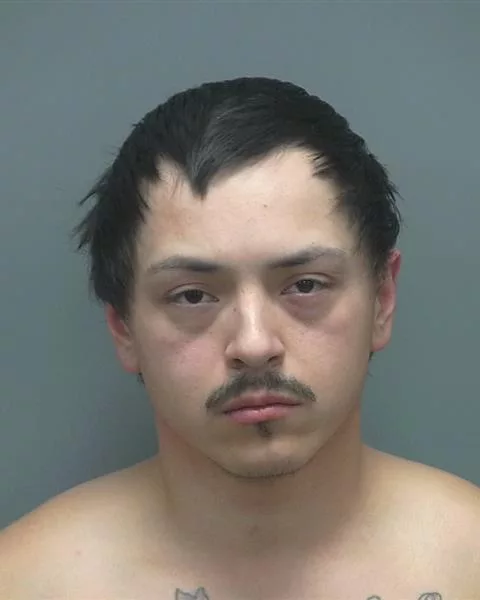 user39064-1697388792-media1985275