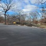 lustig-trees-150x150426068-1