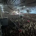 pheasant-barn-damage-2-150x150612562-1