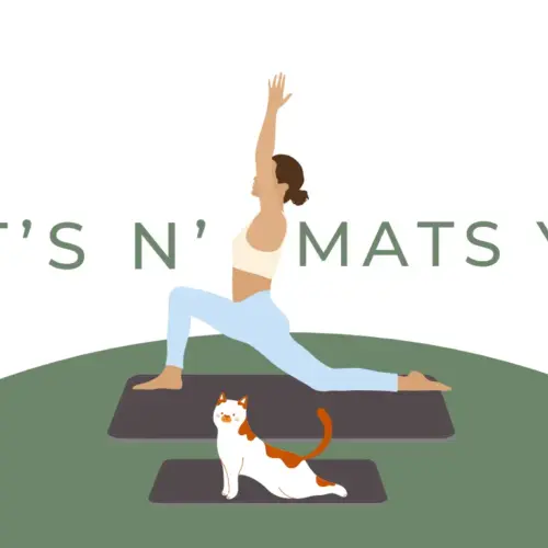 cat-yoga-png-2