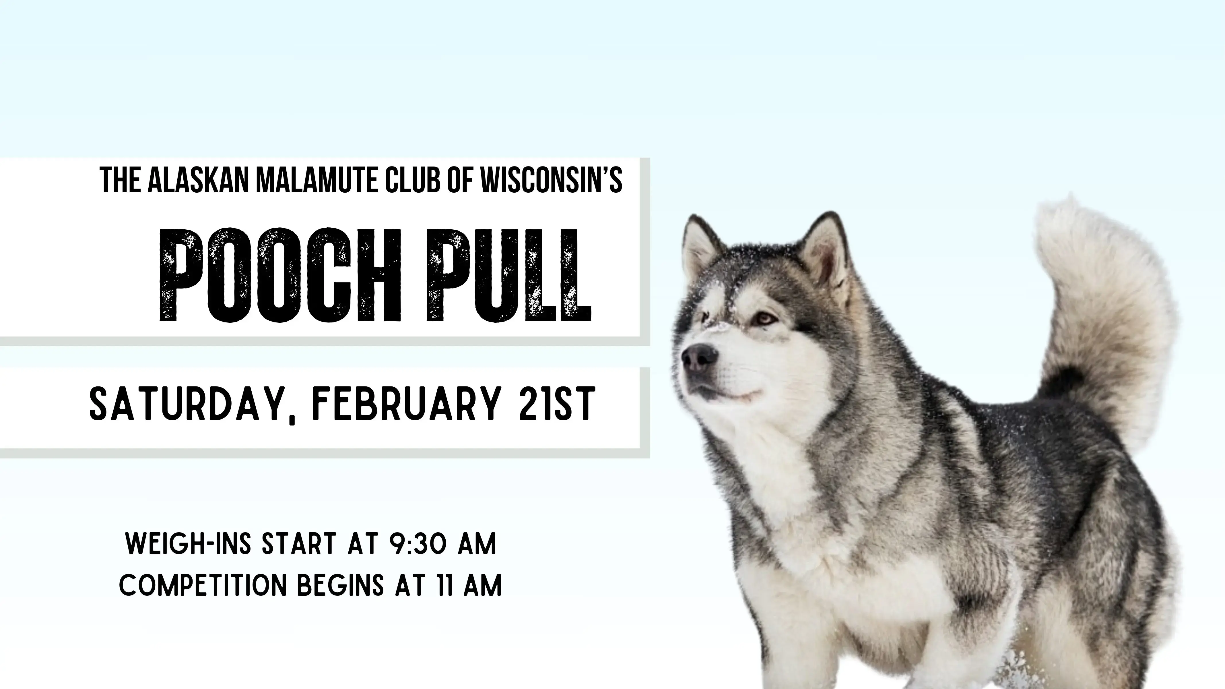 Pooch Pull