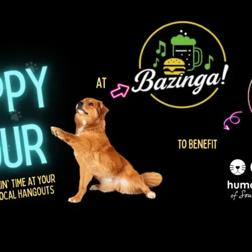 bazinga-yh-jpg-2