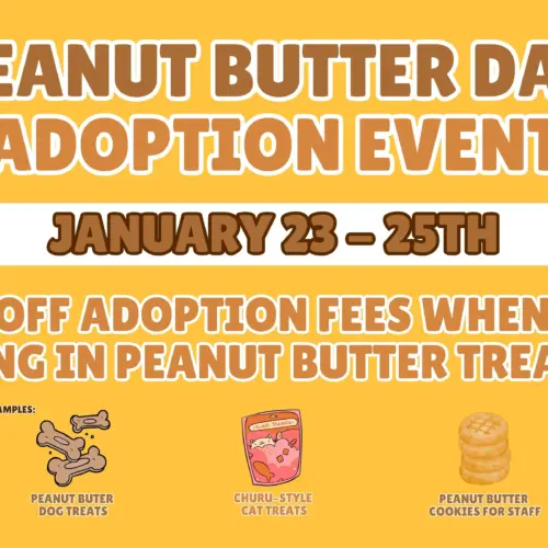 peanut-butter-day-adoption-event-website-graphic-1-jpg