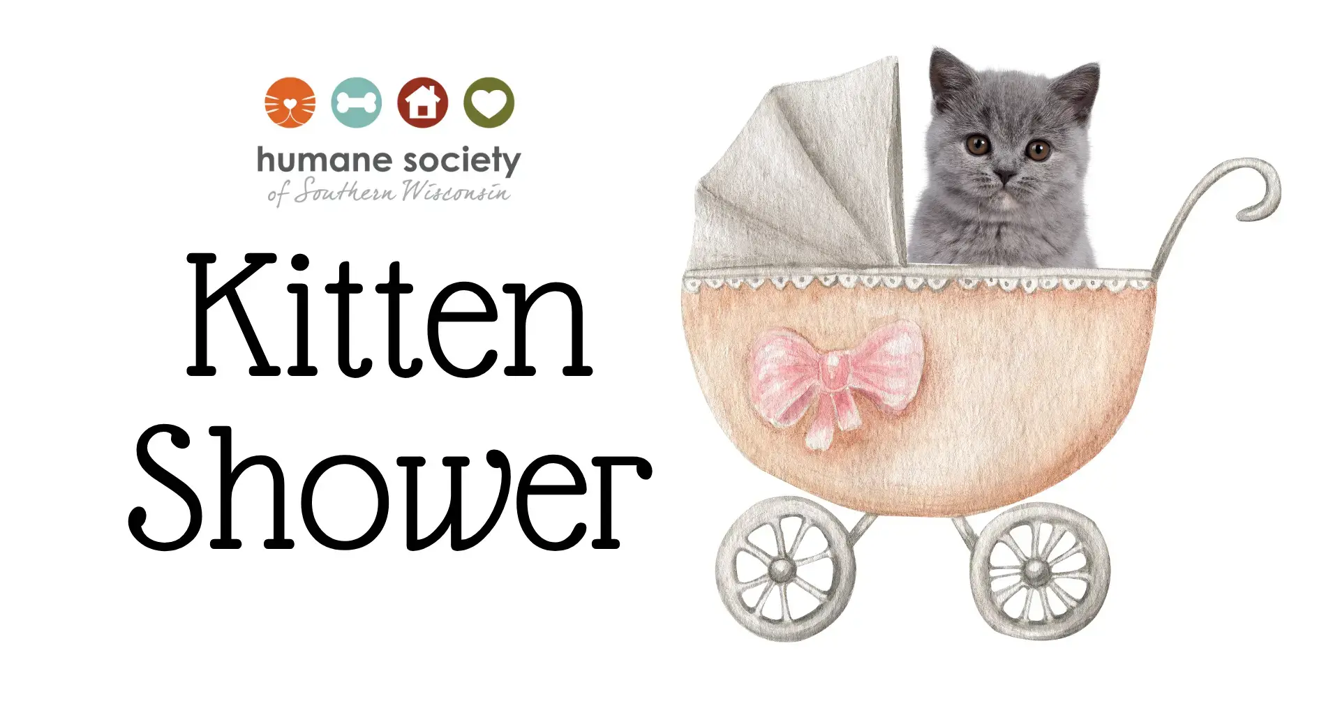 Kitten Shower