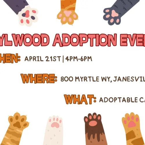 idylwood-adoption-event-website-graphic-jpg